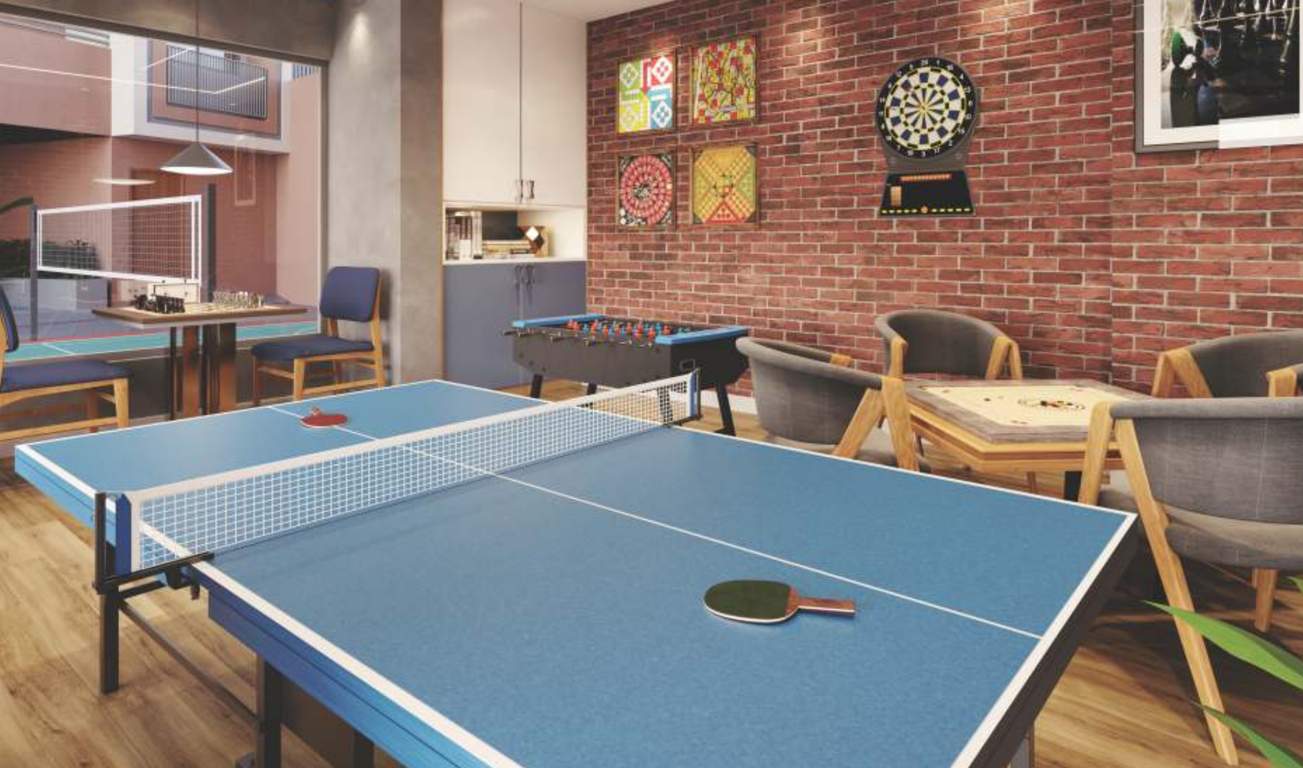  zuri Indoor Games