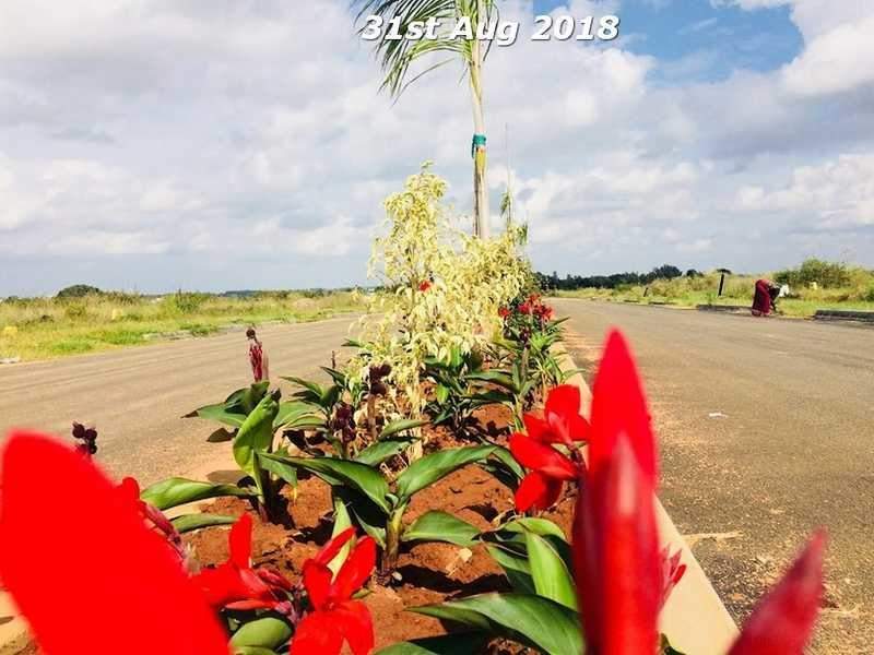  palatium annex sy no 28 1 Internal Roads