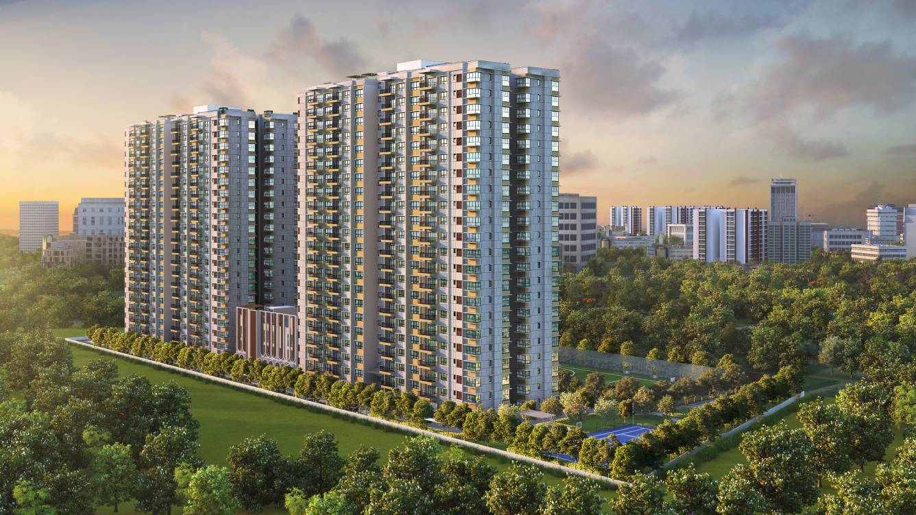  around the life Elevation