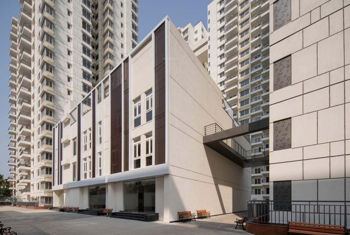  around the life Club House