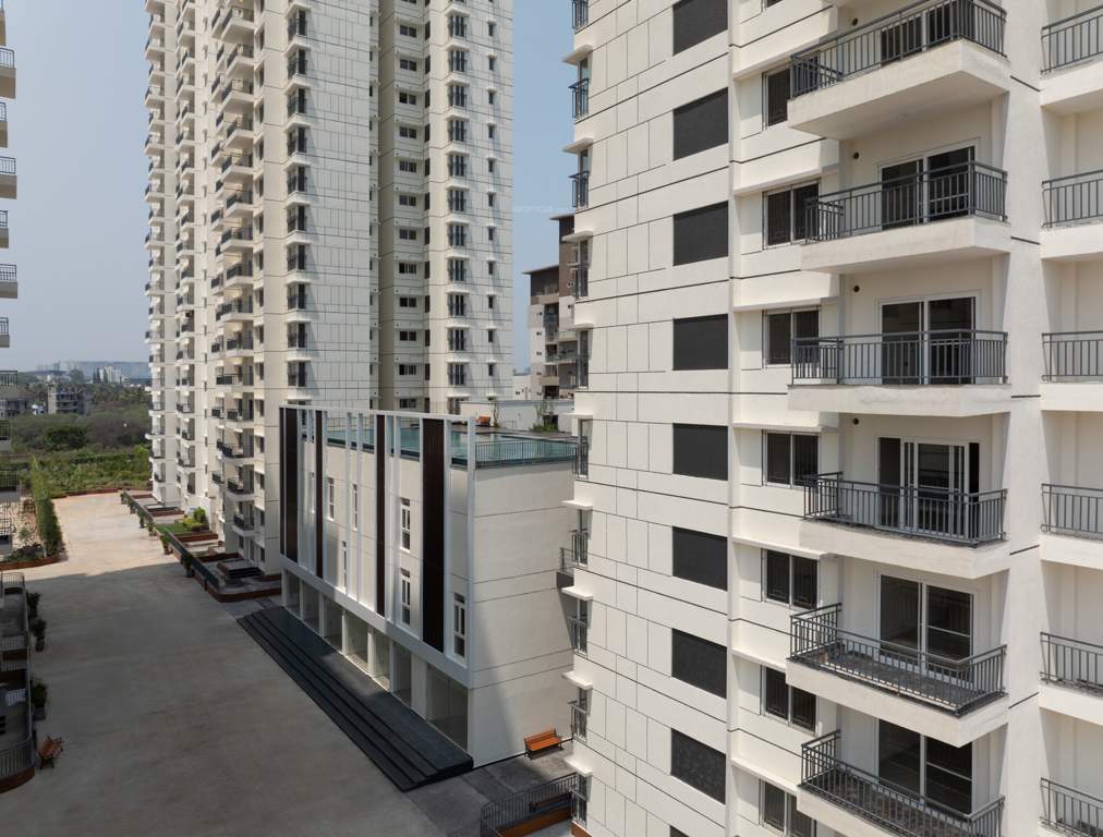  around the life Club House