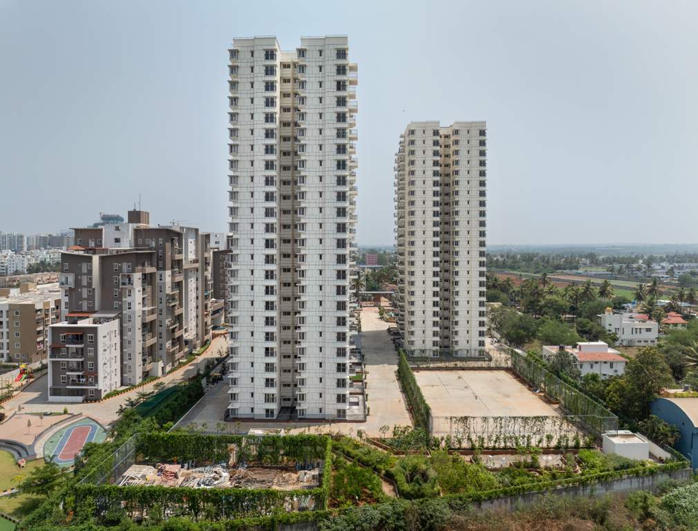  around the life Club House