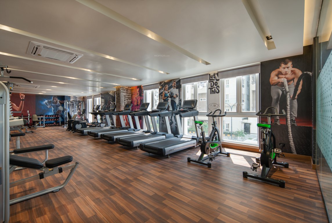  around the life Gymnasium