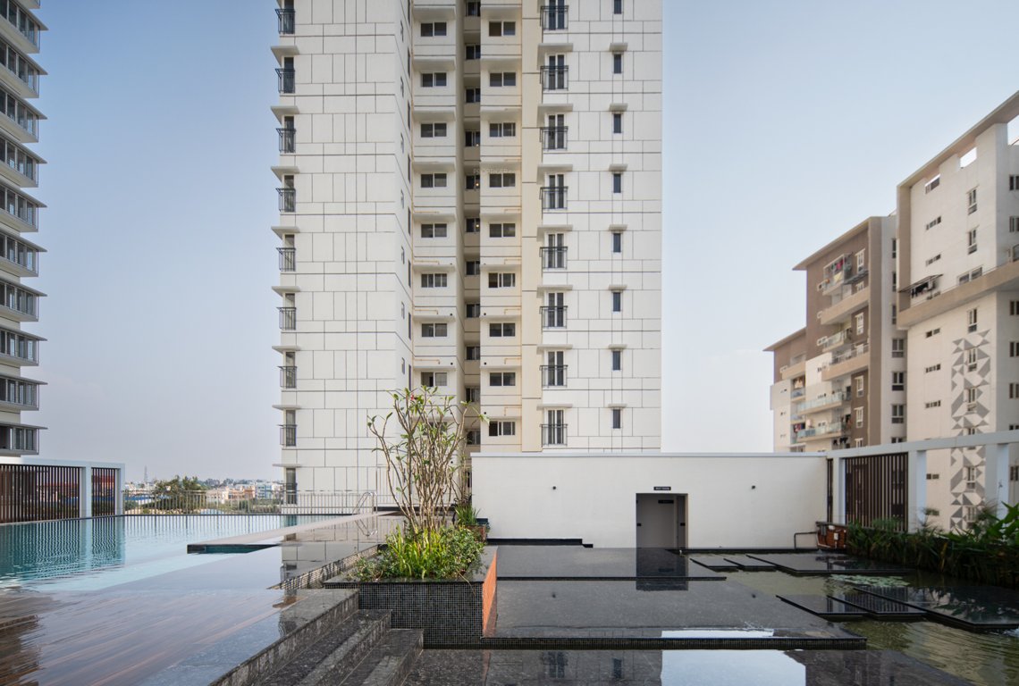  around the life Swimming Pool