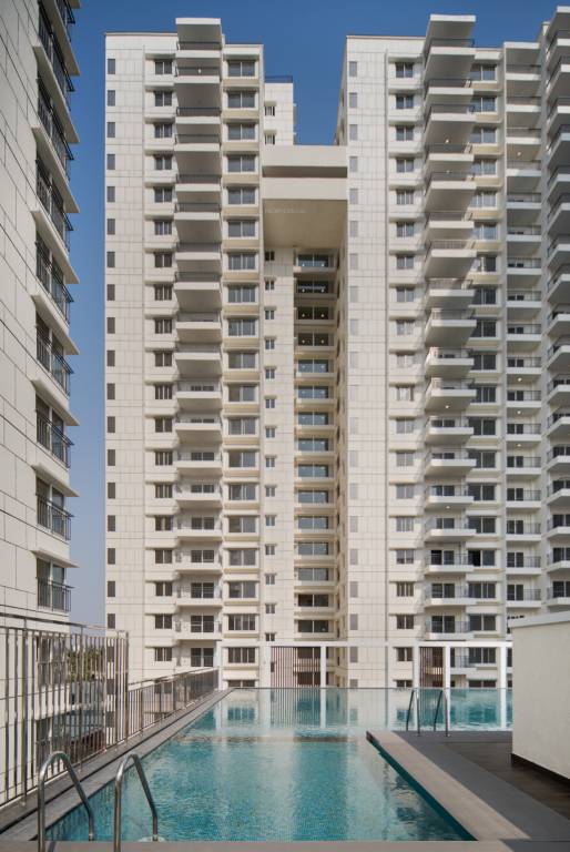  around the life Swimming Pool