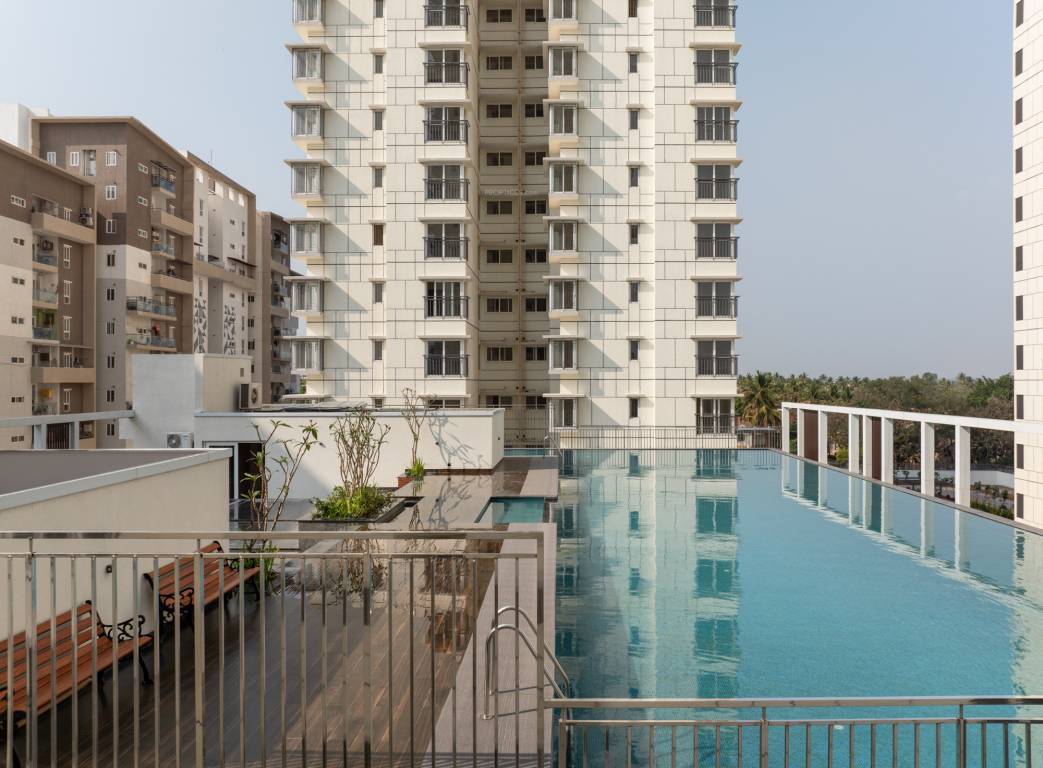  around the life Swimming Pool