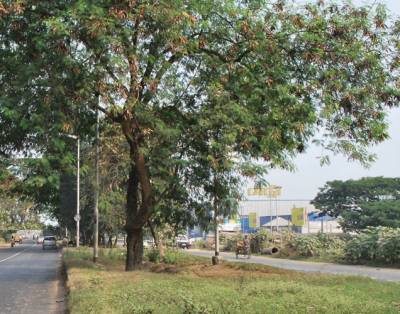  avidipta Landscaped Gardens