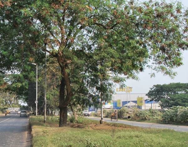  avidipta Landscaped Gardens