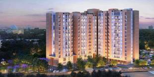 Elevation horizon Elevation