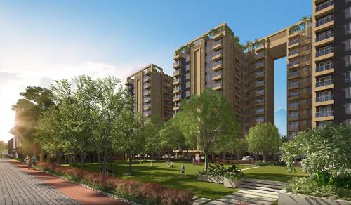  urvisha Landscape Garden and Tree Planting