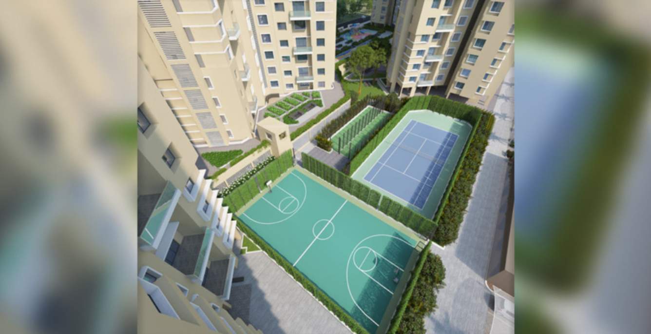  princetown royal b3 and b6 Others