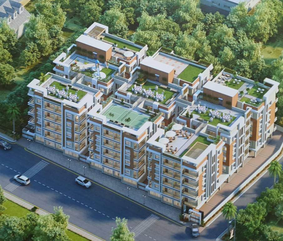  royal aura Elevation