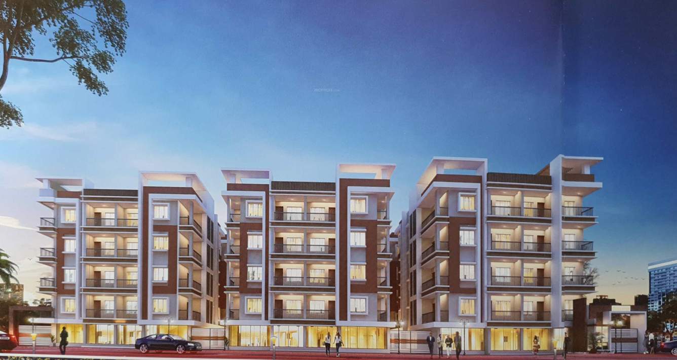  royal aura Elevation