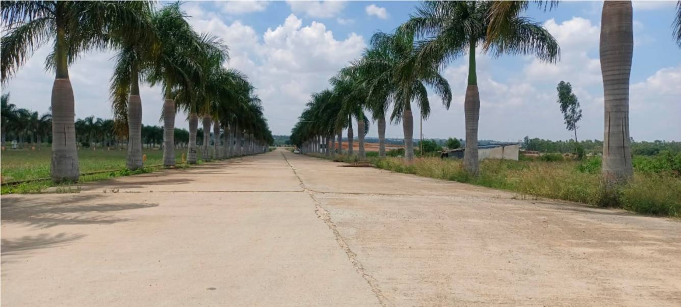  sunrises Internal Roads