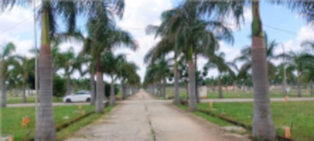  sunrises Internal Roads