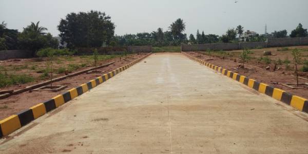  sunrises Internal Roads