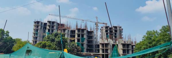  ambliss Dummy Construction Status Nov-24