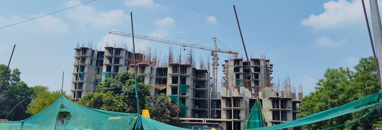  ambliss Dummy Construction Status Nov 24