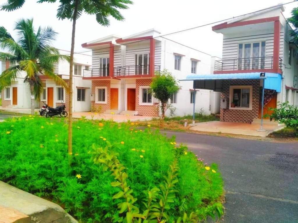  sree hayagrivar nagar Landscape Garden and Tree Planting