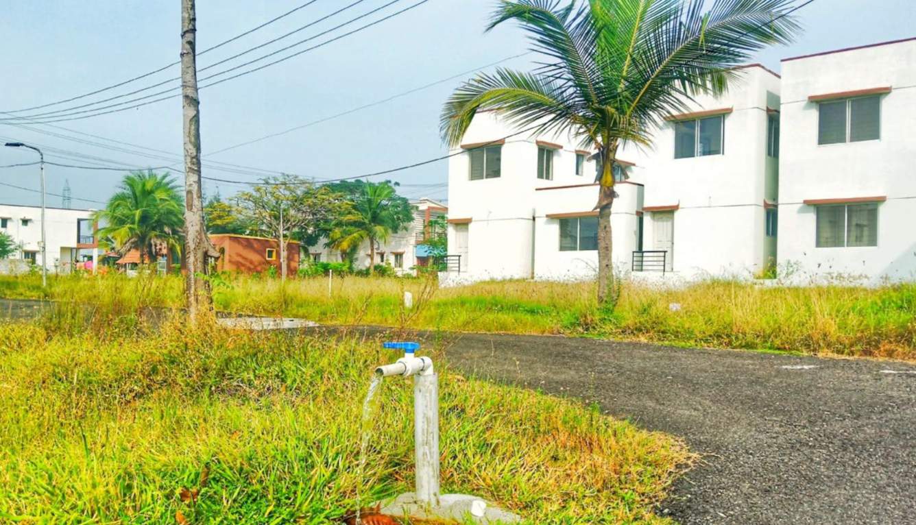  sree hayagrivar nagar Landscape Garden and Tree Planting