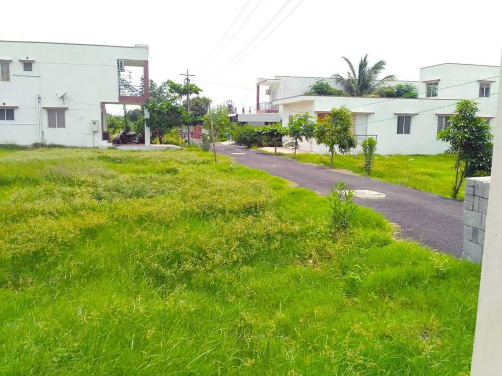  sree hayagrivar nagar Plot