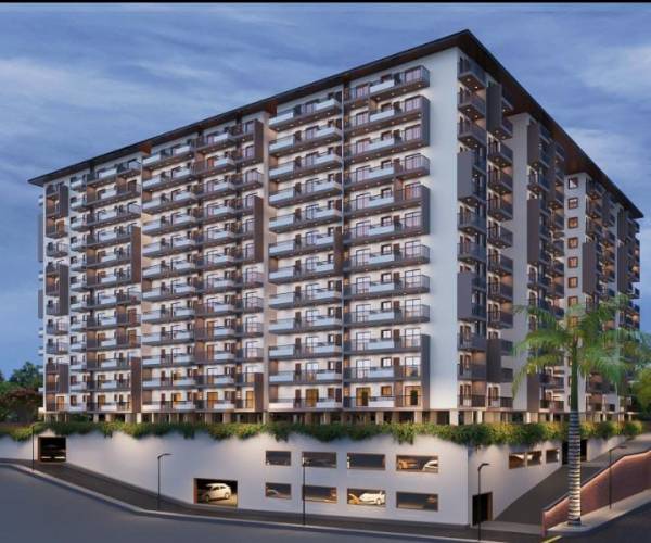  royal-orchids Elevation