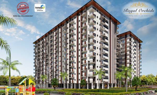  royal-orchids Elevation