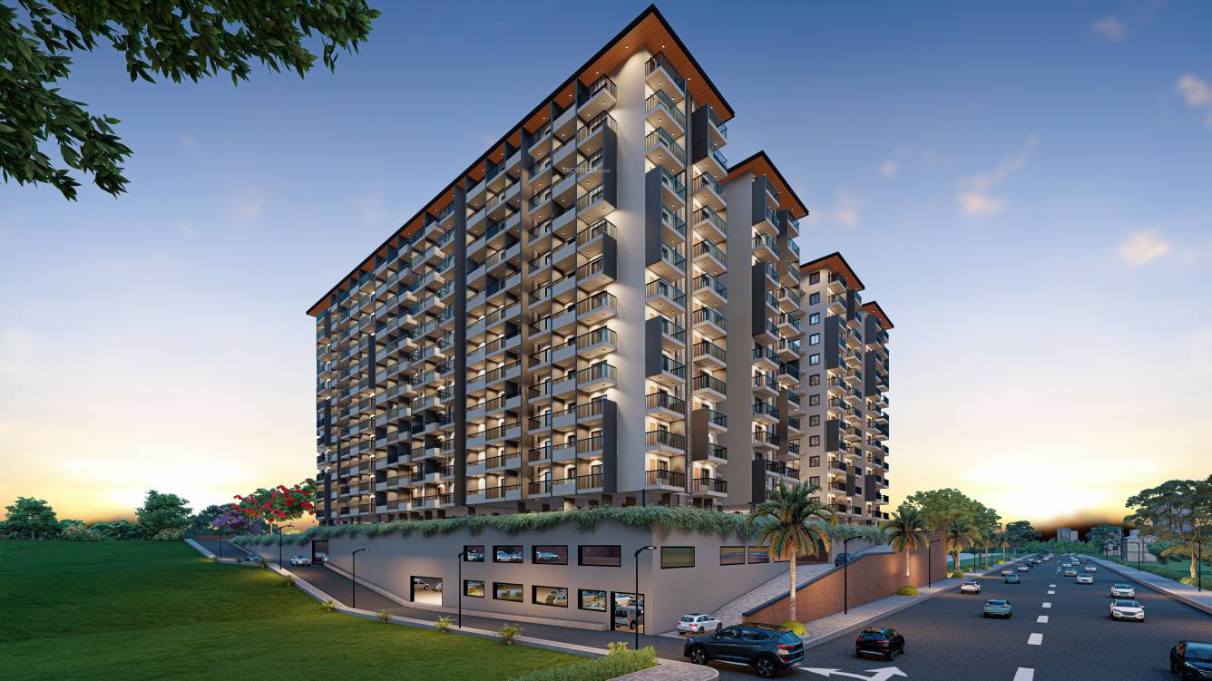 Elevation royal orchids Elevation