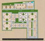 Master Plan royal-orchids Master Plan