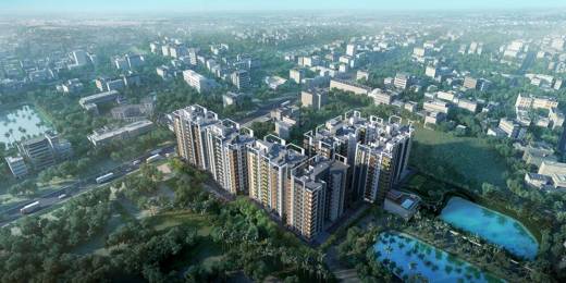 windmare Elevation Elevation