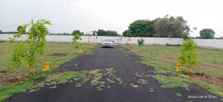 Project Image Project Image