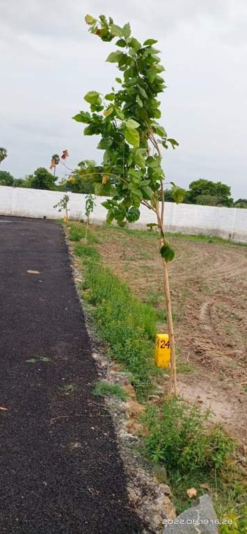  sri kamatchi nagar Plot