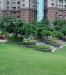  residency Amphitheater