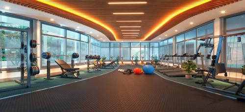 Gymnasium ananta-matigara Gymnasium