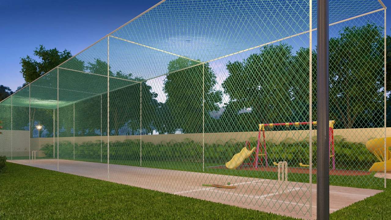  kings mawin arena Cricket Pitch