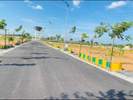 Spalena Wavon