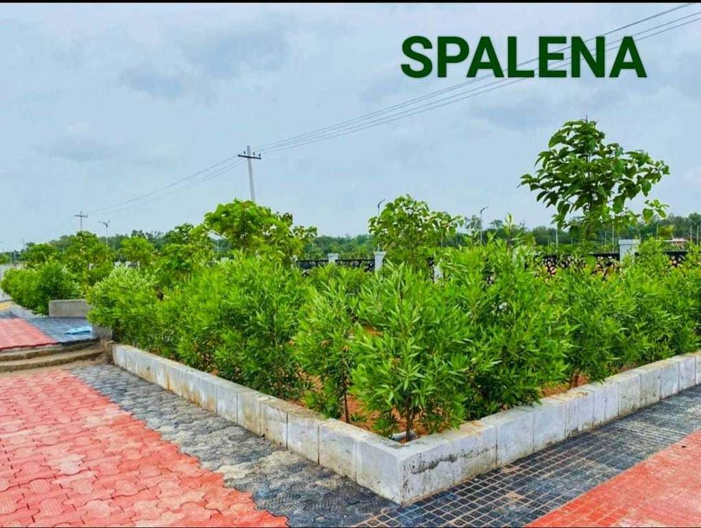  spalena wavon Plot