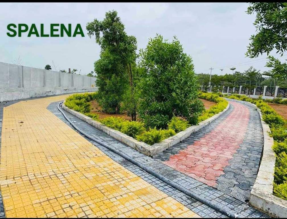  spalena wavon Plot