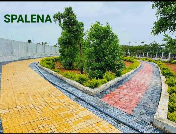  spalena-wavon Plot