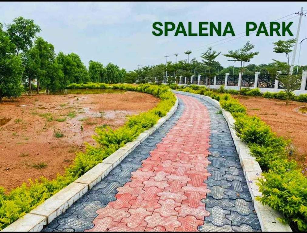  spalena wavon Plot