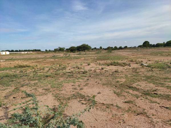 main of Eternal Green Valley