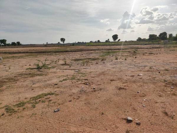 main of Eternal Green Valley