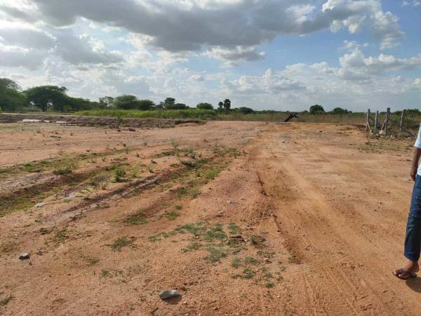 main of Eternal Green Valley