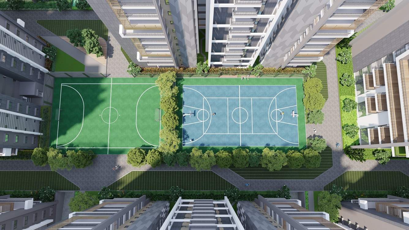  gallaxy Basketball Court