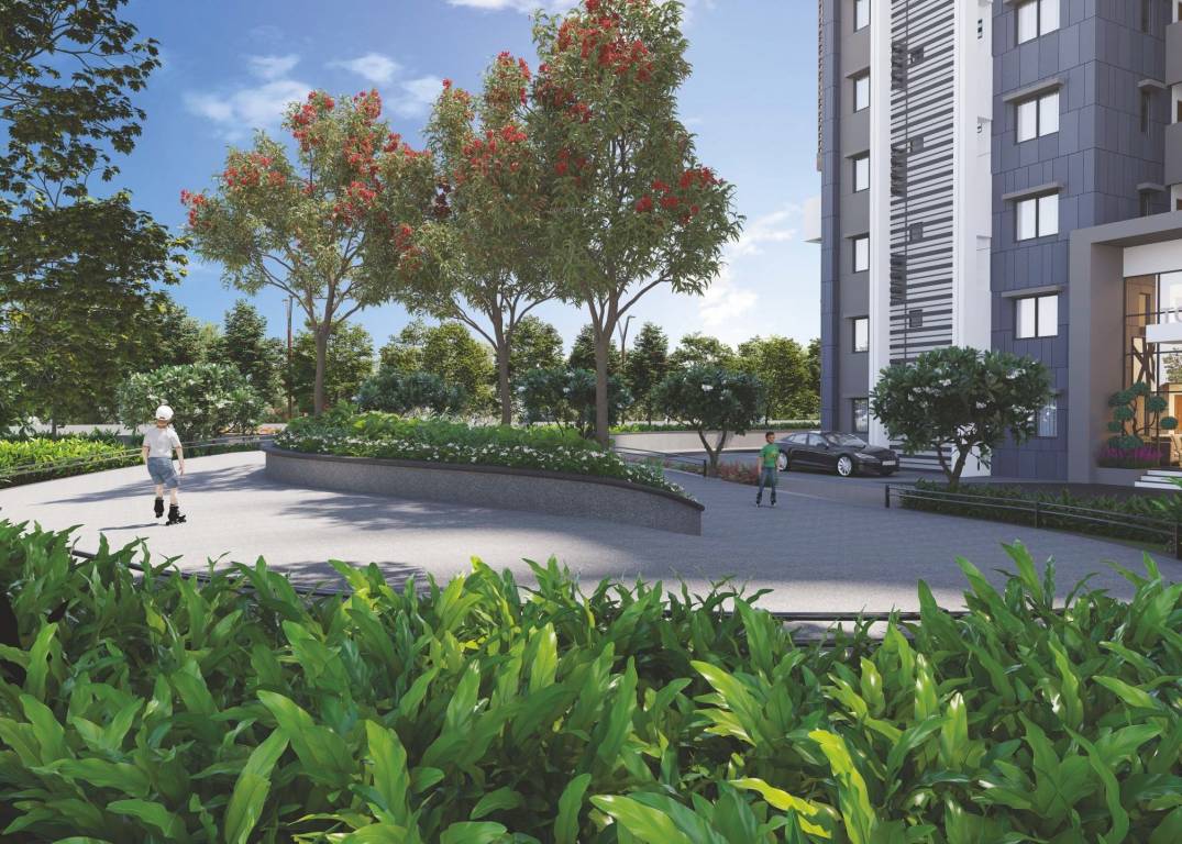  gallaxy Landscape Garden and Tree Planting