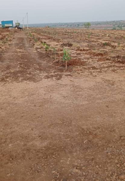  nature-woods Elevation