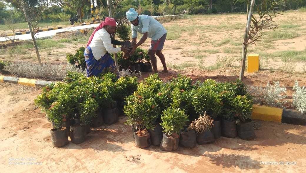  eco o2 zone villas Construction Status June 25