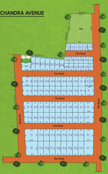  chandra-avenue Layout Plan