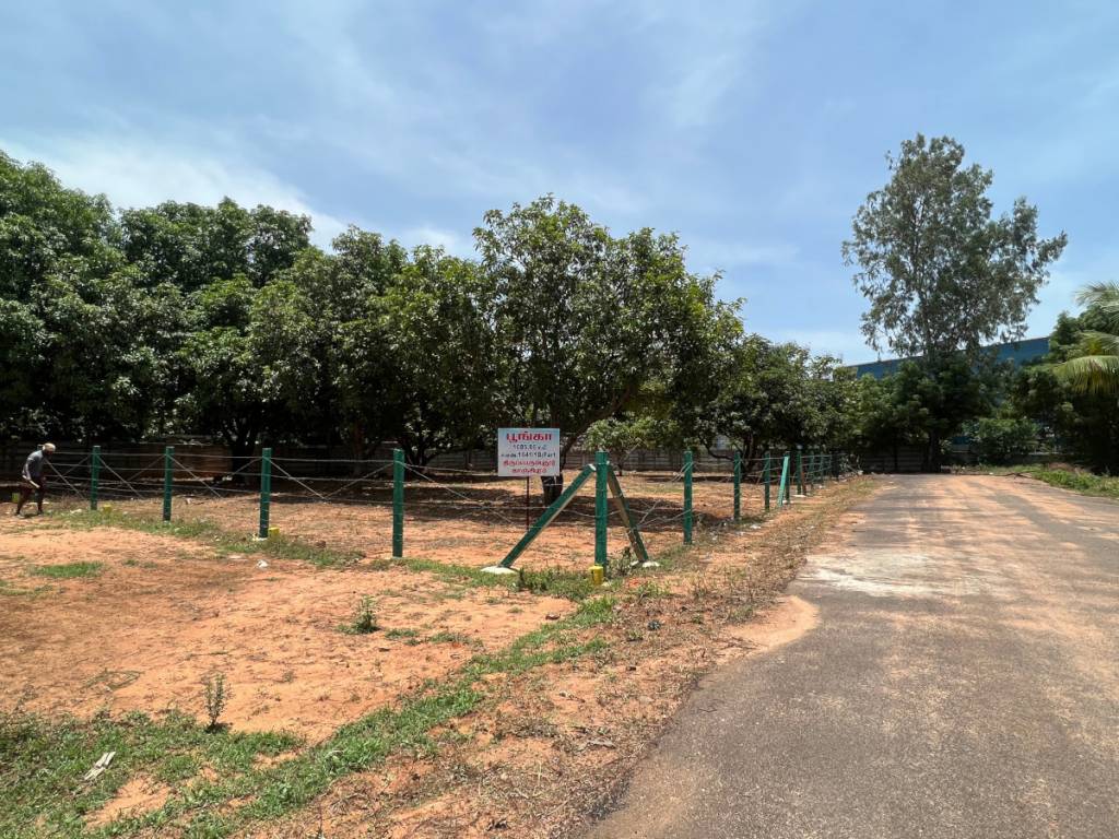  chandra avenue Elevation