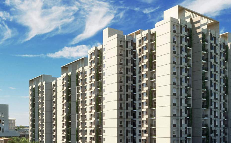  new haven bengaluru phase v Elevation